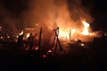 Мощные пожары вспыхнули на Одесчине, есть жертвы: кадры огненного ЧП