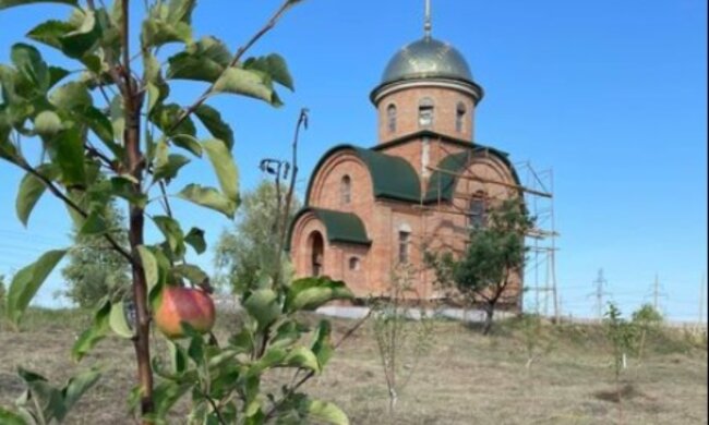 УПЦ просить допомоги у відновленні Спасо-Преображенського Межигірського монастиря