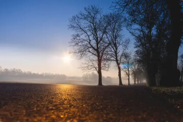 дождь, погода