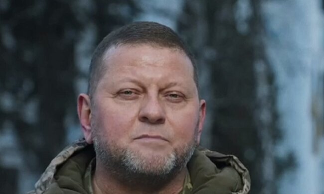 Валерий Залужный