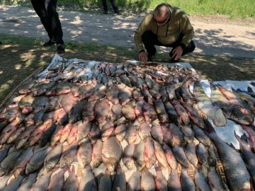 На Полтавщині Держекоінспекція викрила браконьєра з уловом на 374 тисячі гривень
