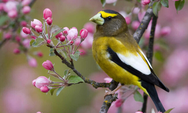 погода в Украине