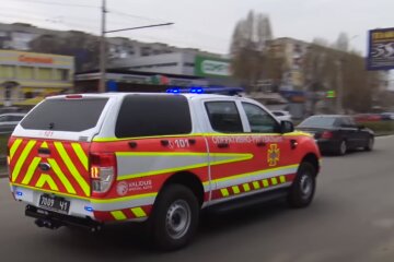 Жінка замкнула в машині дворічну дитину і собаку, примчали рятувальники: фото і подробиці НП