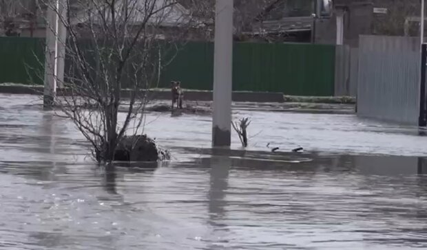 LmfDTKx7RAlqf5eDjIfNlTBGCkYUxYi0Z0Y8lMdc