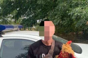 У Дніпропетровській області затримали чоловіка