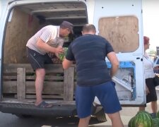 Подорожчали навіть "копійчані" огірки: аномалію з цінами в Україні пояснив фермер