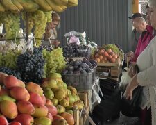 Дефицит фруктов в Днепропетровской области