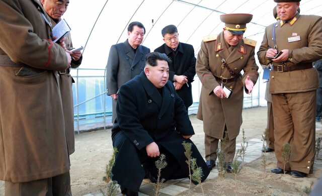 лидер КНДР Ким Чен Ын и елочки