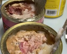 некачественные продукты