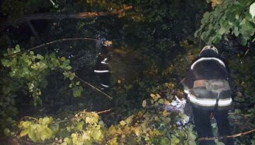 Огромный тополь рухнул в детсаду Днепра, фото: спасатели бросились на помощь