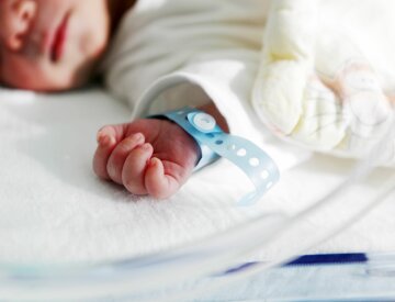 17610218 — newborn baby  in incubator