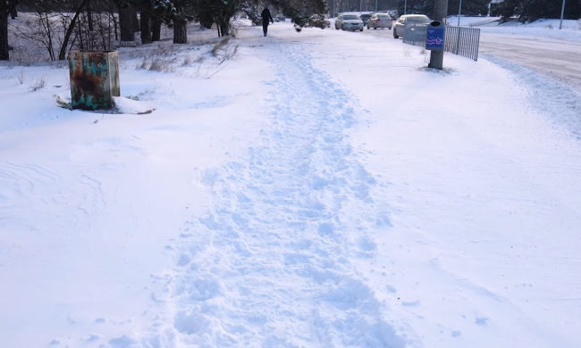 Прогноз погоди на тиждень з 2 по 8 лютого у Запоріжжі