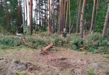 Держекоінспекція: російські війська обстріляли Національний природний парк на Сумщині