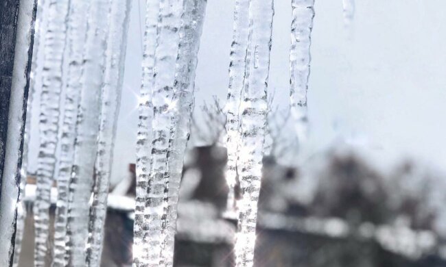 47693378_379488002878477_8819142236867461169_n