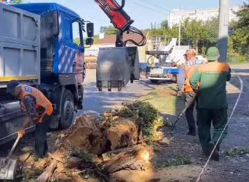 Непогода обрушилась на Днепр: массово брошены силы на ликвидацию последствий стихии, кадры