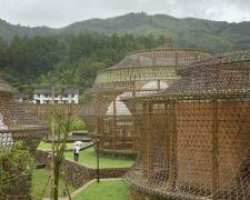 Як виглядають неймовірні будівлі, зроблені з бамбука (фото)