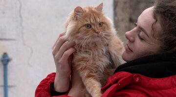 Будинок зруйнували, а кішка втекла: українка знайшла дивом свою улюбленицю через 9 місяців: відео