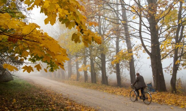 осень