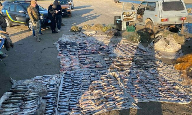Почти два километра браконьерских сеток: в Сулинском заказнике изъяли ловушку для рыбы
