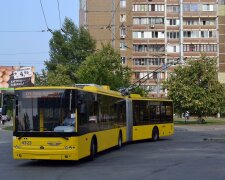 Как курсировали троллейбусы во Львове: «Большинство уже исчезли», исторические фото