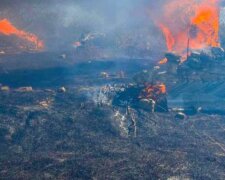 В Одесской области загорелся сильный пожар