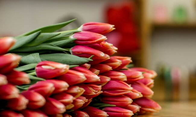 Квіти, 8 березня