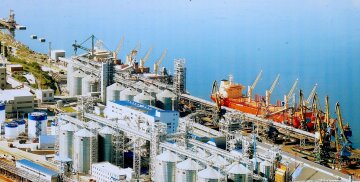 Препятствия для работы Николаевского морского порта создаются искусственно — Сергей Тарута