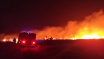 Українець спалив 15 гектарів лісу і поплатився за це: подробиці того, що сталося