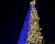 Украинская красавица вошла в топ-5 новогодних елок планеты, фото: "Писали журналисты со всего мира"
