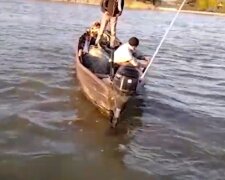 Величезну рибу виловили на річці Дунай в Одеській області: як вона виглядає, відео