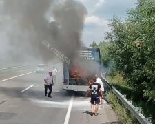 Автобус полный пассажиров загорелся  посреди трассы  Киев-Одесса: видео ЧП