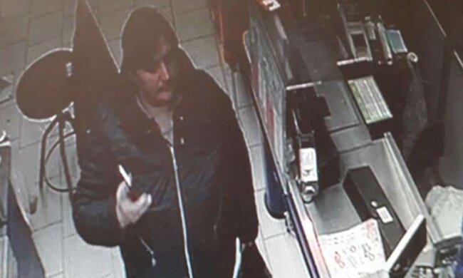 "Вибирає породистих": у Дніпрі посеред білого дня почали красти собак, кадри