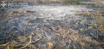 В Одесской области наказали женщину, повлекшую пожар