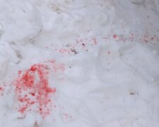 В Киеве бьют тревогу из-за розовых пятен на снегу: "результаты исследований показали..."
