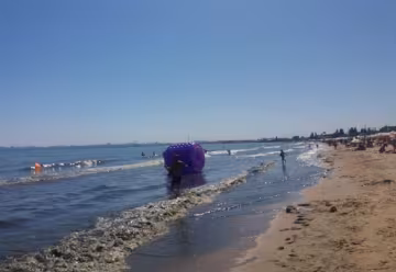 Опасная вода срывает курортный сезон в Одессе: какие пляжи под запретом