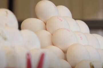 Пик цен на яйца еще впереди: сколько будет стоить десяток в ближайшем будущем