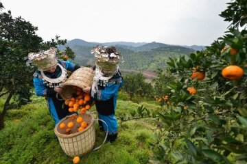 работа в Италии для украинцев