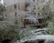 молдова снегопад