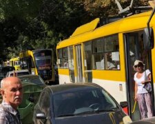 Туристы парализовали движение общественного транспорта в Одессе: кадры безобразия