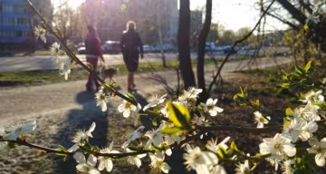 Троих знаков Зодиака побалует судьба в апреле: кого ждет везение