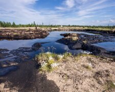 Дырявыми нефтепроводами Россия убивает природу севера (фото)