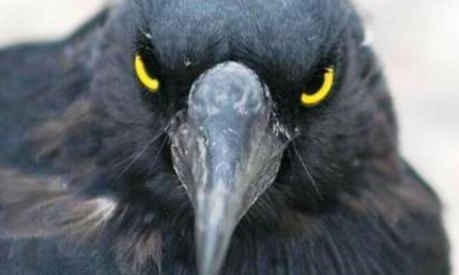 b833d2cb-1ec8-47bd-b7ef-03532de92c72_16x9_1200x676