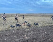 У Казахстані ловлять росіян, які тікають від мобілізації, кадри: влада розповіла про їхню подальшу долю