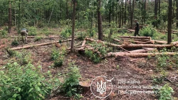 Госэкоинспекция