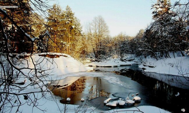 погода в Украине