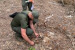 Свалка посреди города и миллионный ущерб: экоинспекторы подвели итоги недельных рейдов