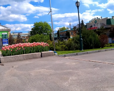 Прогноз погоди на тиждень з 20 до 26 квітня в Харкові