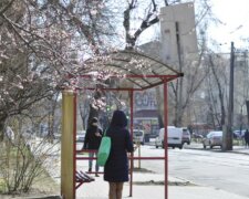 весна в Киеве, погода в Киеве