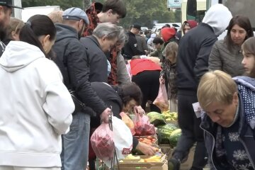 Дефіцит фруктів на Вінниччині