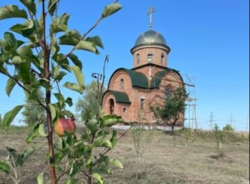 УПЦ просить допомоги у відновленні Спасо-Преображенського Межигірського монастиря